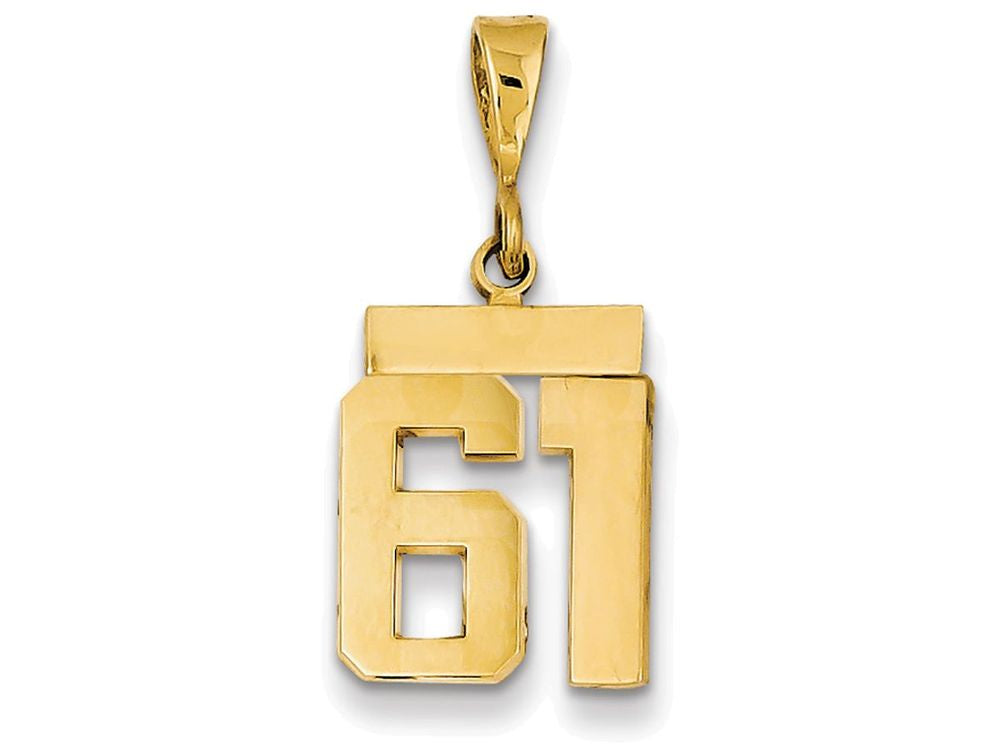 FJC Finejewelers 14k Yellow Gold Small Polished Number 61 Charm