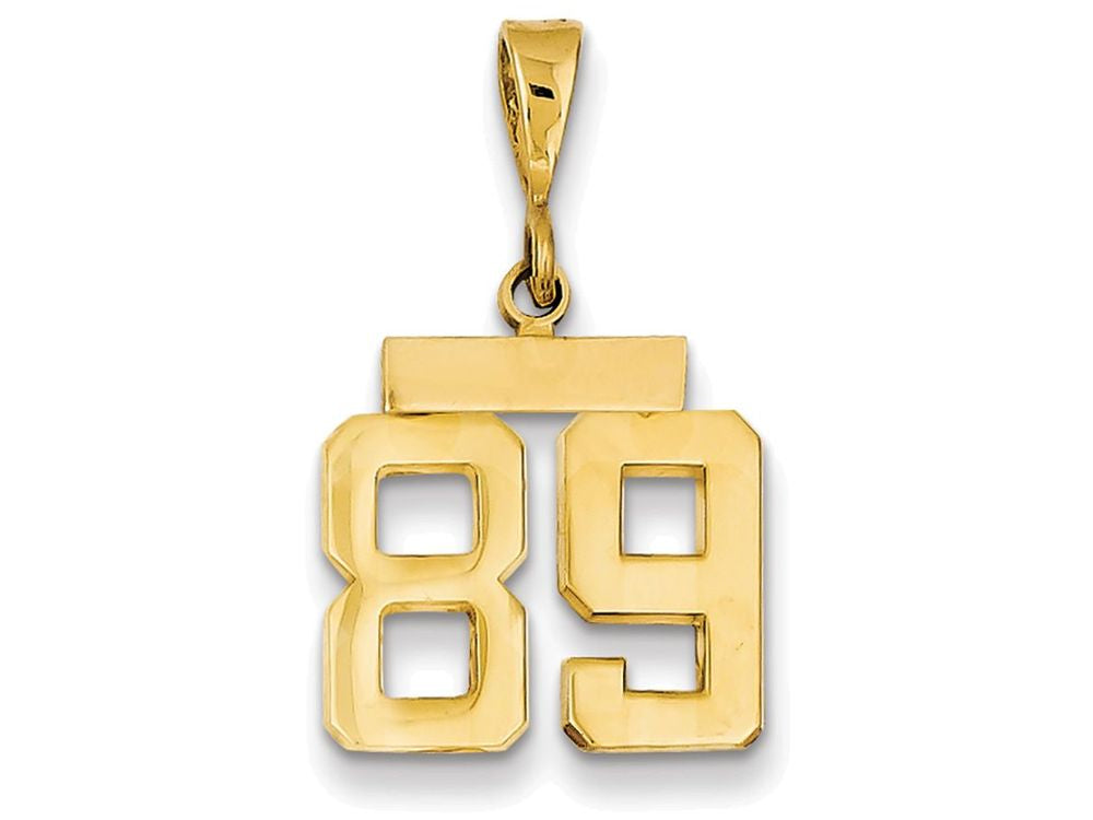 FJC Finejewelers 14k Yellow Gold Small Polished Number 89 Charm