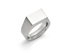 Chisel Stainless Steel Polished And Brushed Signet Ring