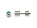 Chisel Stainless Steel CZ March Birthstone Polished Post Earrings