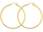 FJC Finejewelers 14k Yellow Gold Polished 2.5mm Round Hoop Earrings