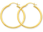FJC Finejewelers 14k Yellow Gold Polished 2.5mm Round Hoop Earrings