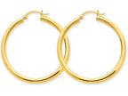 FJC Finejewelers 14k Yellow Gold Polished 3mm Round Hoop Earrings