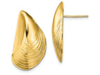FJC Finejewelers 14k Yellow Gold Mussel Shell Post Earrings