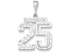 FJC Finejewelers 14k White Gold Large Bright Cut Number 25 Charm
