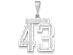 FJC Finejewelers 14k White Gold Large Bright Cut Number 43 Charm