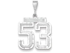 FJC Finejewelers 14k White Gold Large Bright Cut Number 53 Charm