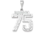 FJC Finejewelers 14k White Gold Large Bright Cut Number 75 Charm