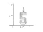 FJC Finejewelers 14k White Gold Medium Satin Number 5 Charm
