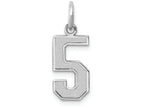 FJC Finejewelers 14k White Gold Medium Satin Number 5 Charm