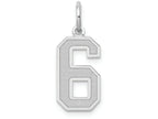 FJC Finejewelers 14k White Gold Medium Satin Number 6 Charm