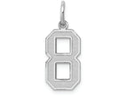 FJC Finejewelers 14k White Gold Medium Satin Number 8 Charm