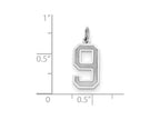 FJC Finejewelers 14k White Gold Medium Satin Number 9 Charm