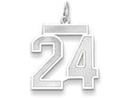 FJC Finejewelers 14k White Gold Medium Satin Number 24 Charm