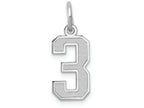 FJC Finejewelers 14k White Gold Small Satin Number 3 Charm