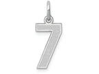 FJC Finejewelers 14k White Gold Small Satin Number 7 Charm