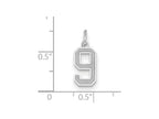 FJC Finejewelers 14k White Gold Small Satin Number 9 Charm