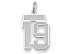 FJC Finejewelers 14k White Gold Small Satin Number 19 Charm