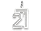 FJC Finejewelers 14k White Gold Small Satin Number 21 Charm