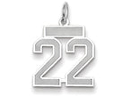 FJC Finejewelers 14k White Gold Small Satin Number 22 Charm