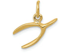FJC Finejewelers 14k Yellow Gold Wishbone Charm