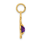 FJC Finejewelers 14k Yellow Gold Girl 6x4 Oval Genuine Amethyst February Birthstone Charm